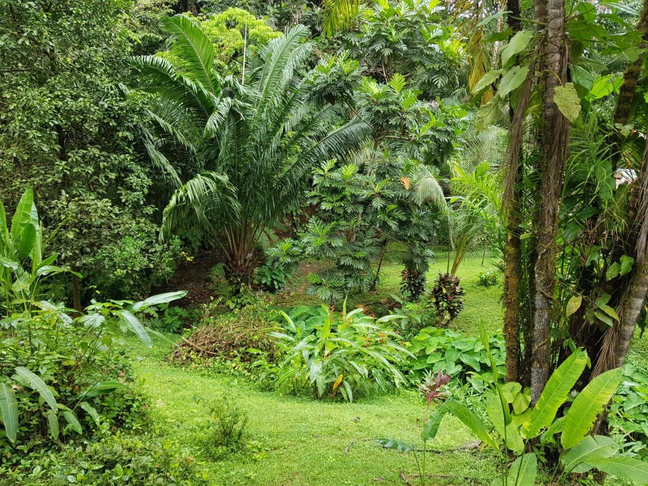 Sukia Hostel 2* Drake Bay