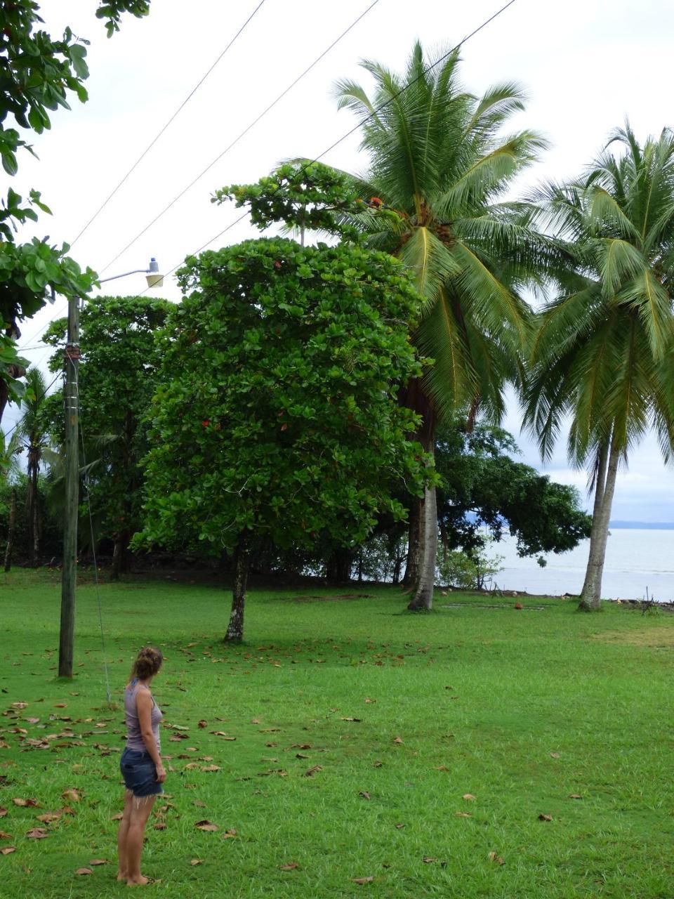 Corcovado Puerto Jimenez
