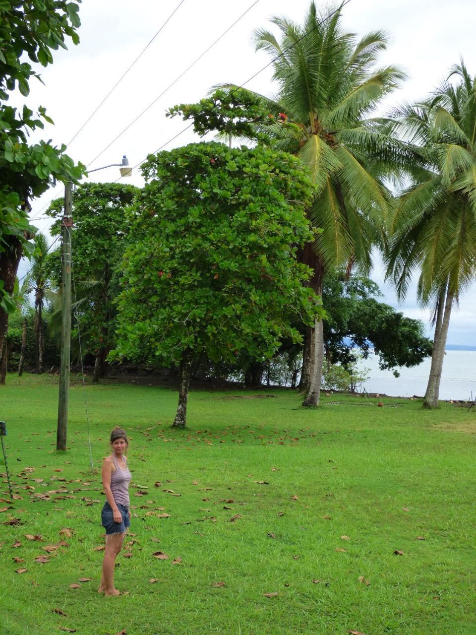 Corcovado Lodge Puerto Jimenez