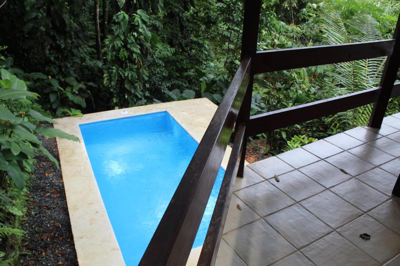 Kiskadee Casa *