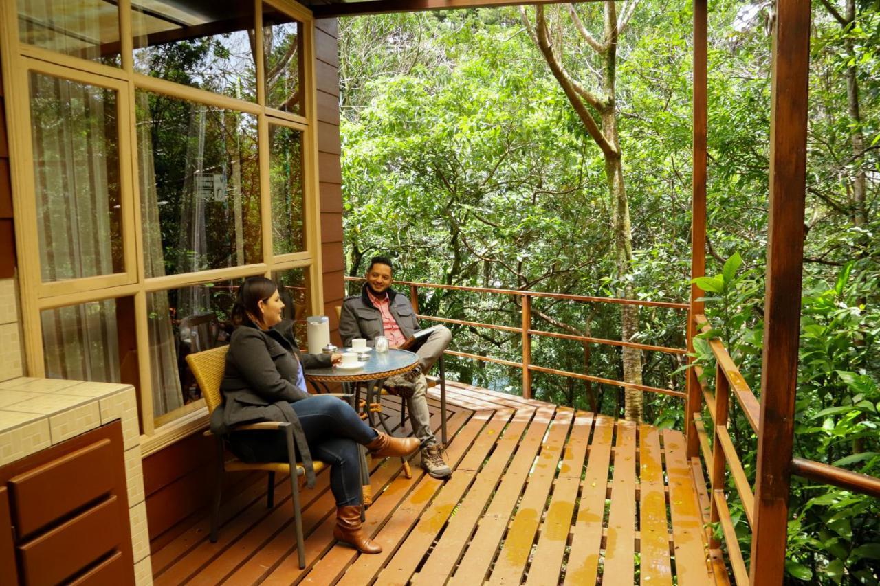 Lodge Pinos & Reserve *