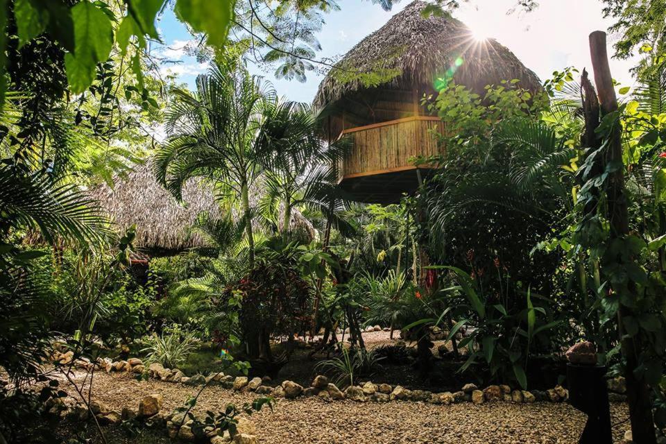El Oasis Lodge *