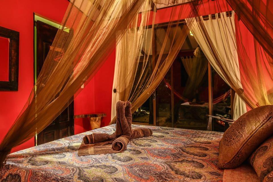 Lodge El Oasis *