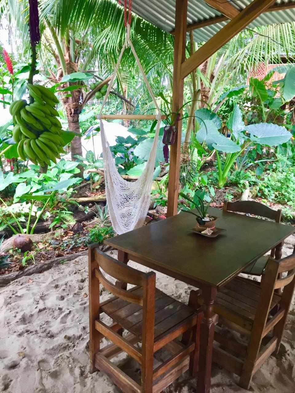 Oasis Puerto Viejo de Talamanca