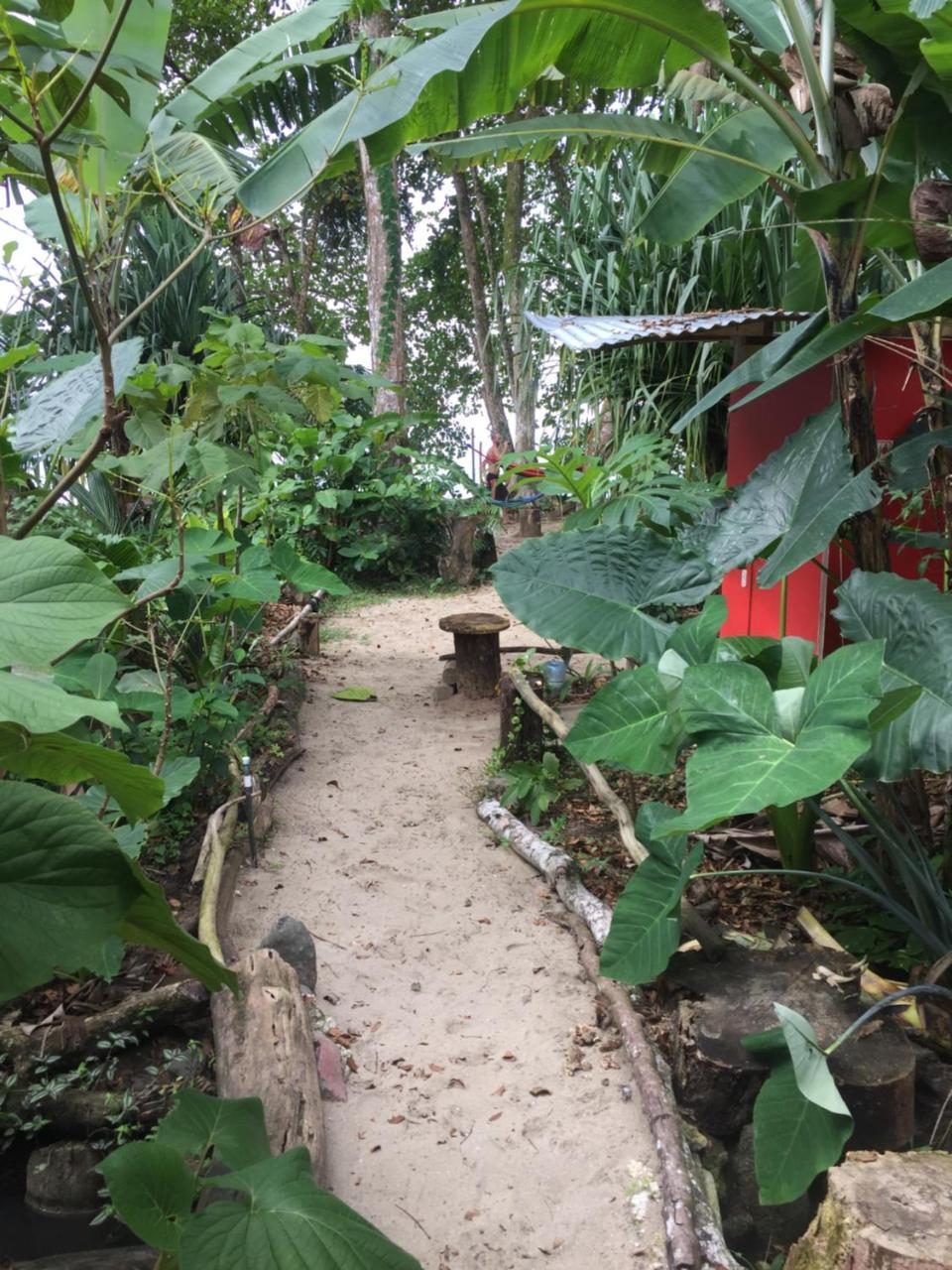 Oasis Hostel