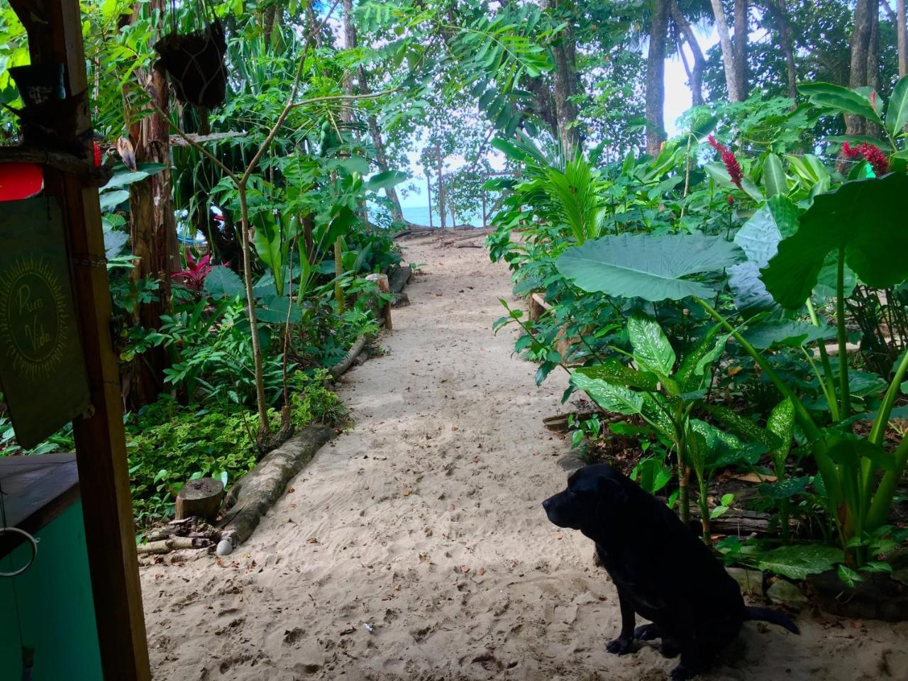 Oasis Puerto Viejo de Talamanca