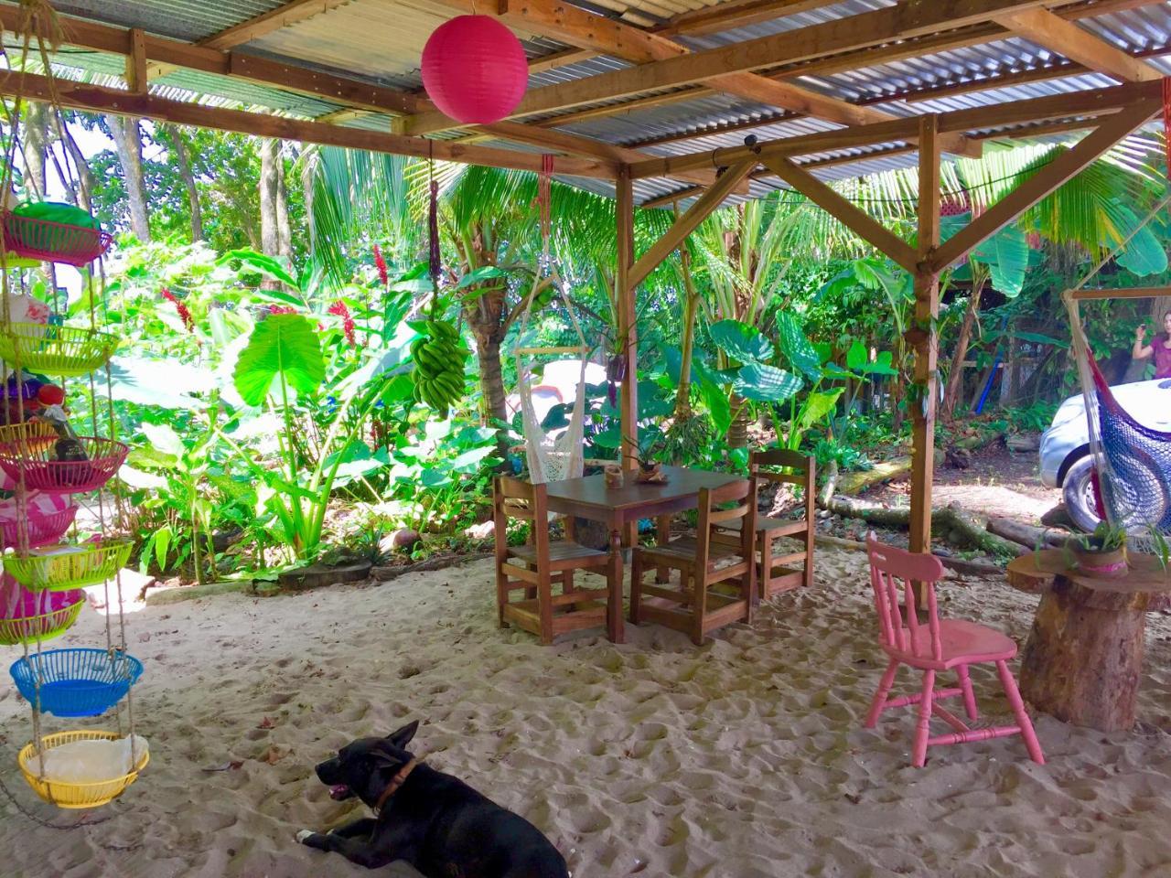 Hostel Oasis