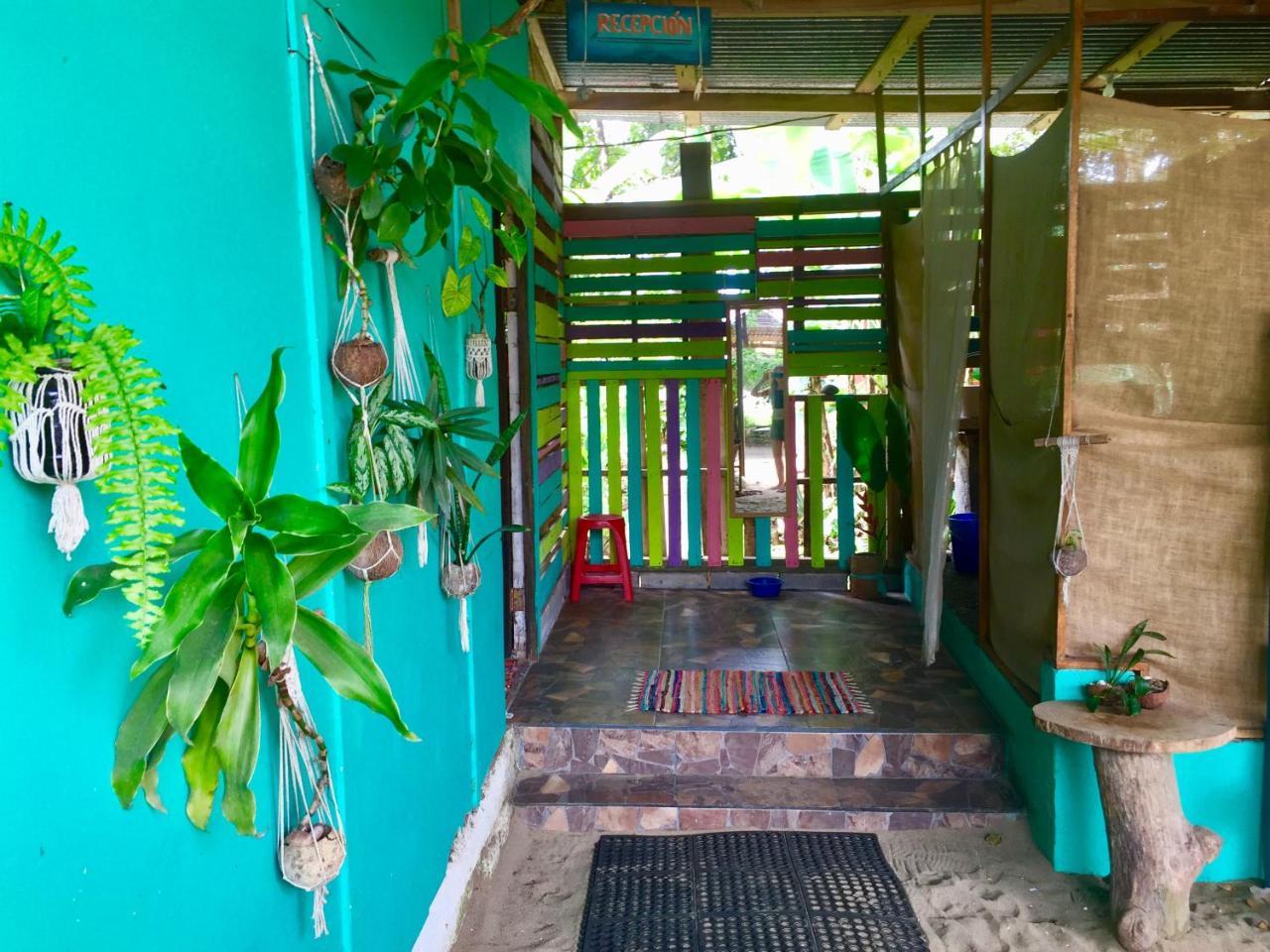 Hostel Oasis *