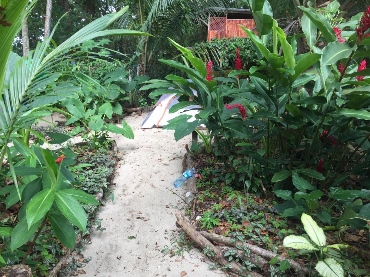 Hostel Oasis