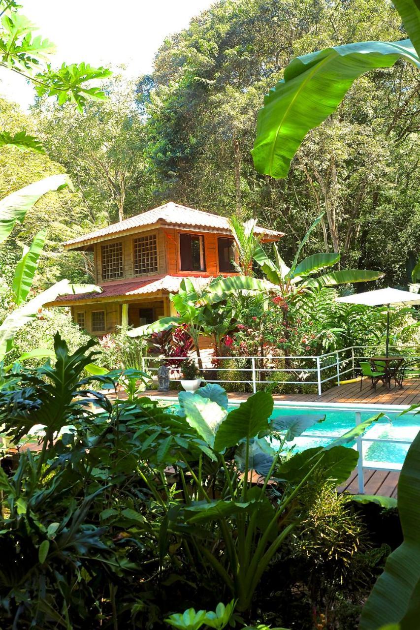Boutique Y Tangara Azul