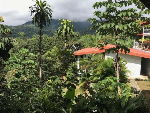 Villa Lambeau Ocean View 1 *