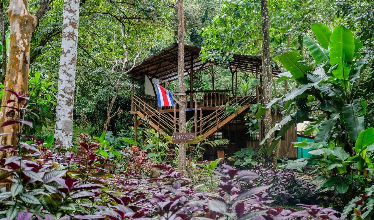 Cascada Elysiana Lodge *