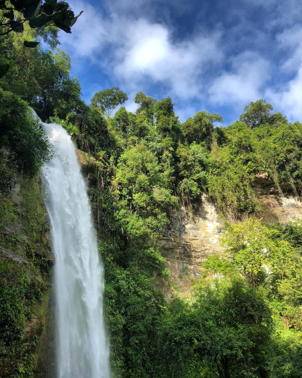 Lodge Cascada Elysiana *