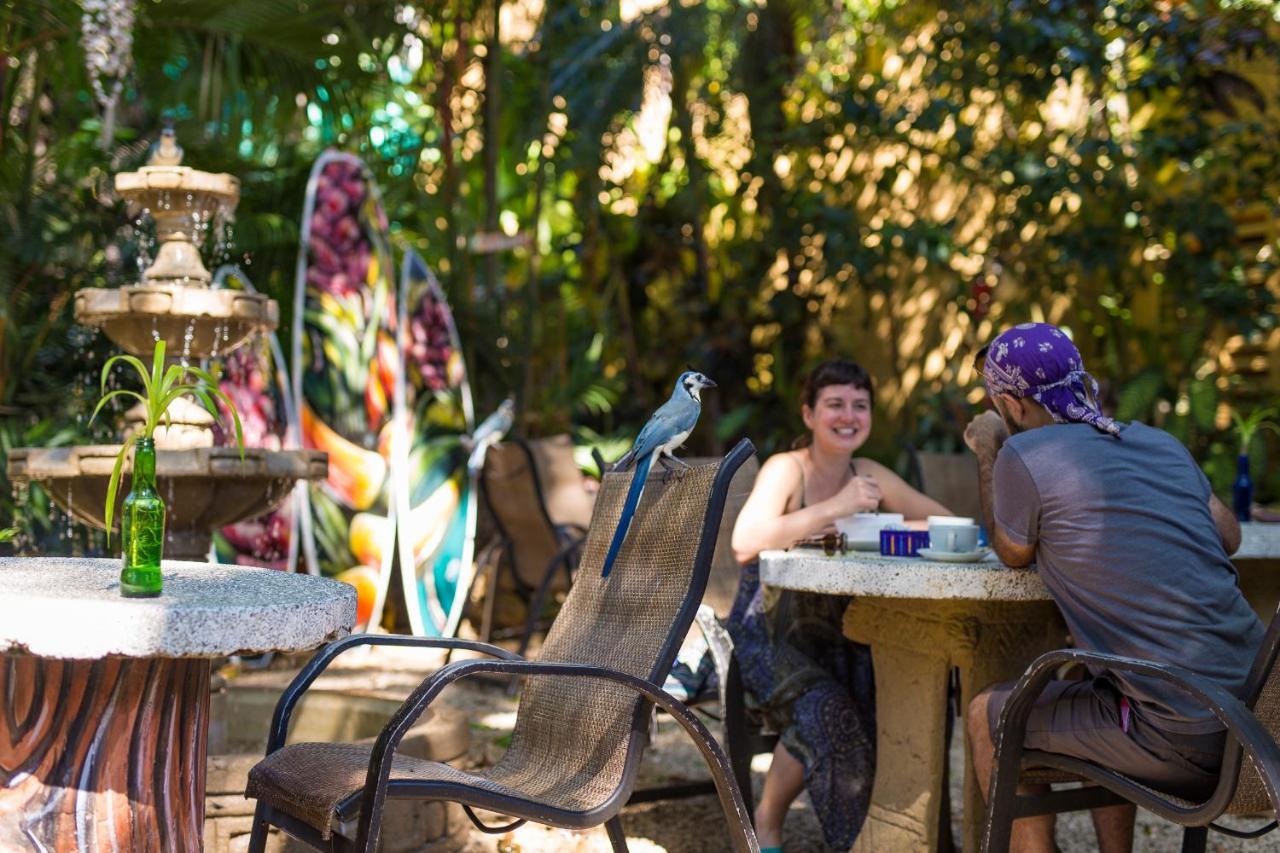 Hotel El Sano Banano Beachside Montezuma