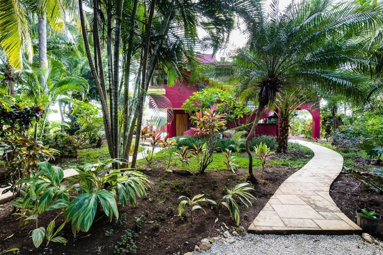 Casa Alegre - 3/3 Beachfront With Pool And Sundeck Holiday home