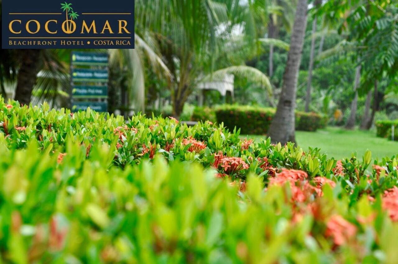 Cocomar Beachfront Hotel