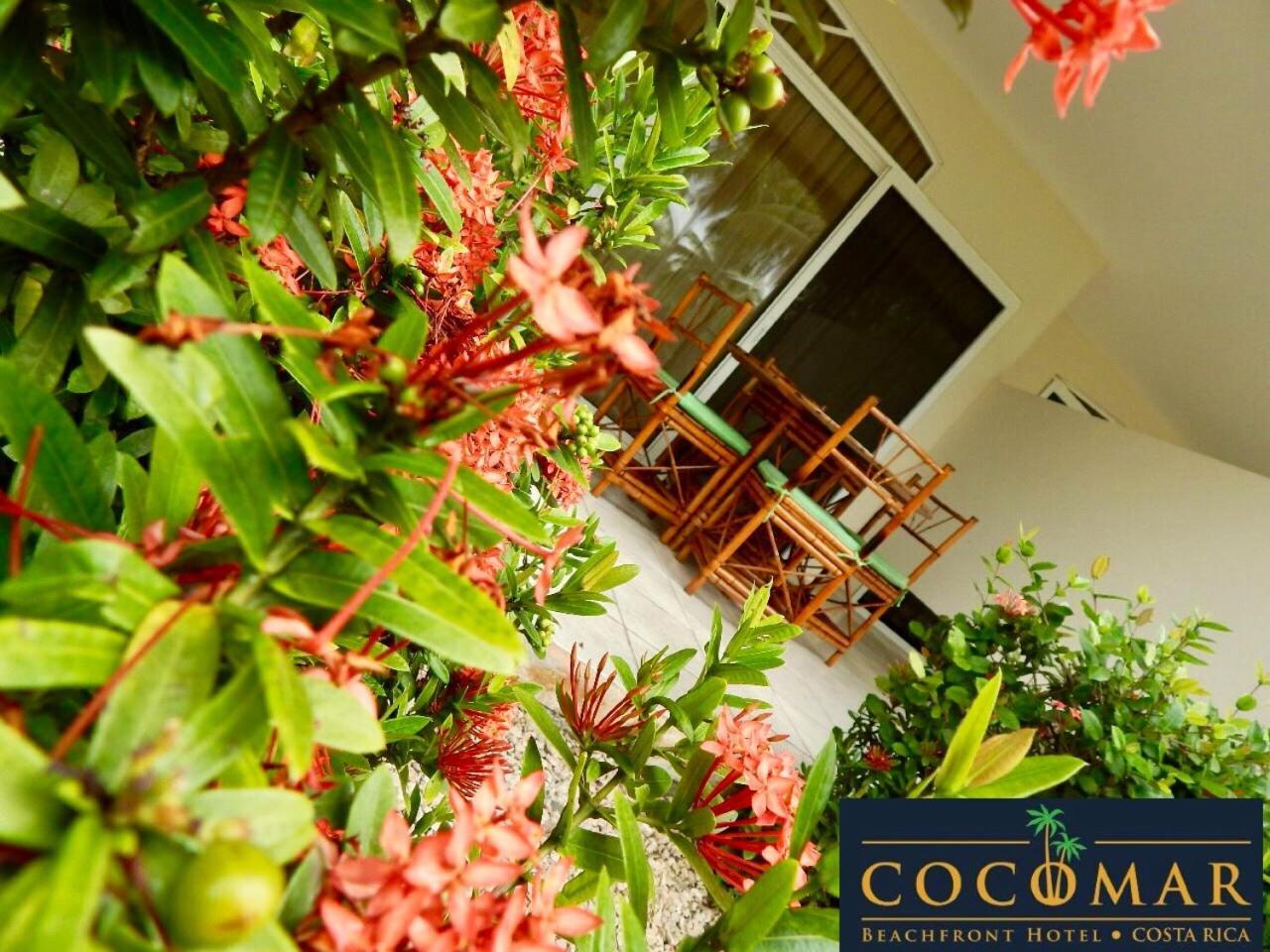 Hotel Cocomar Beachfront Parrita