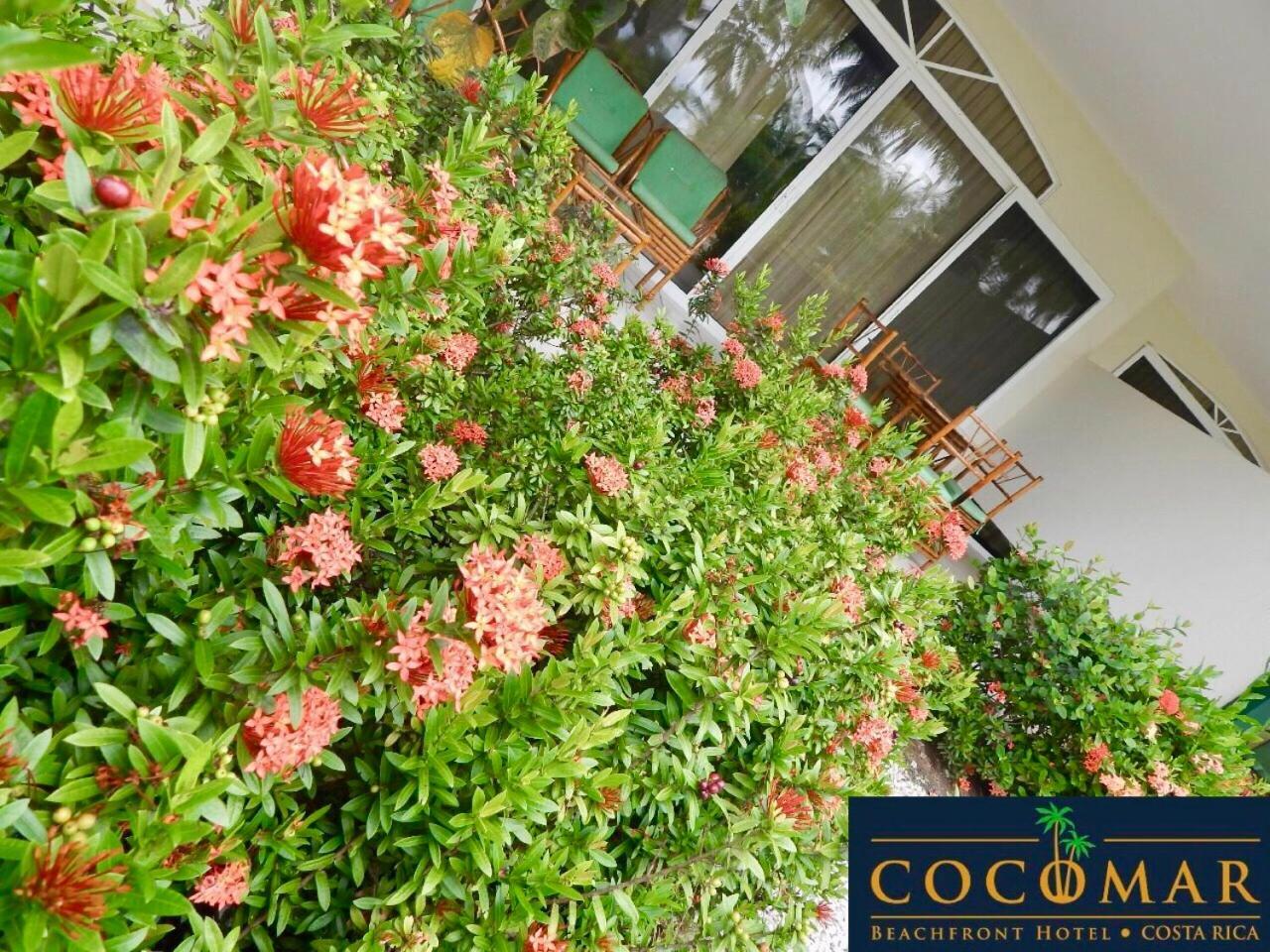 Cocomar Beachfront 4* Parrita
