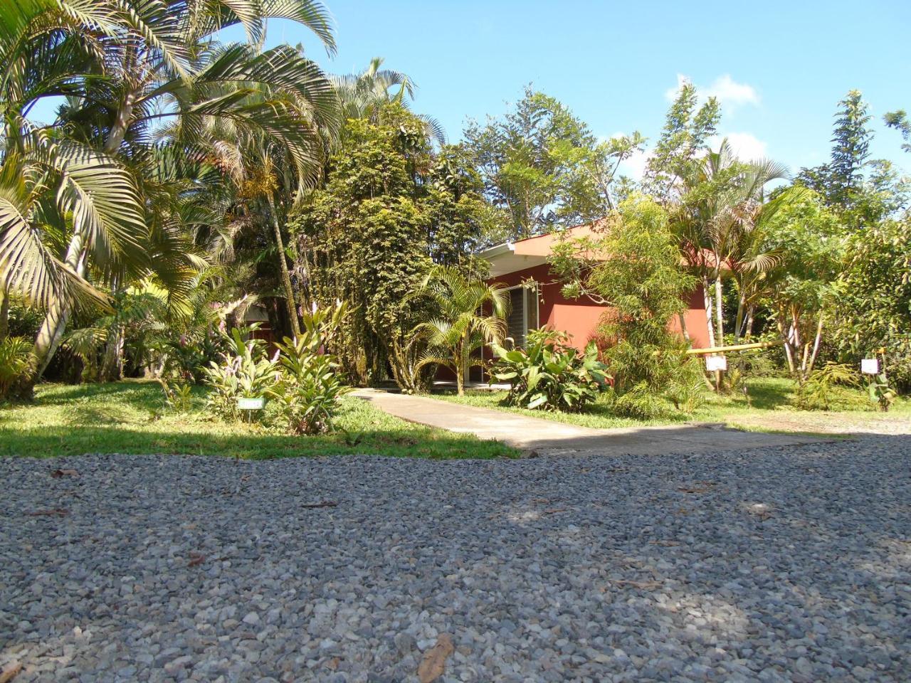 Rural Rio Celeste