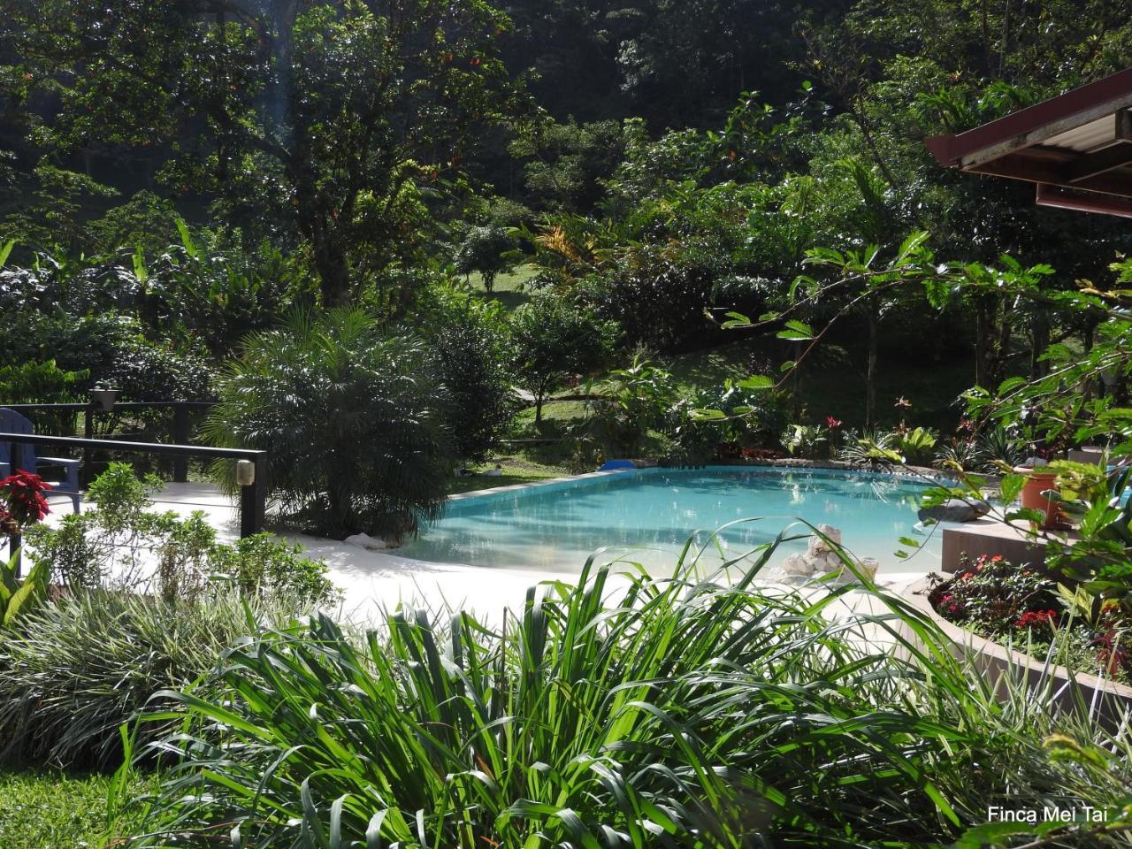 Bed & Breakfast Tai Cacao