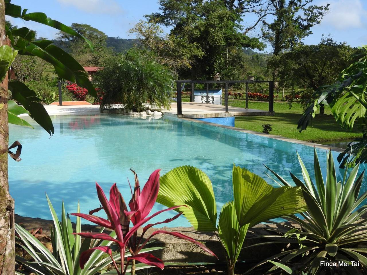 Tai Cacao Bed & Breakfast Bijagua