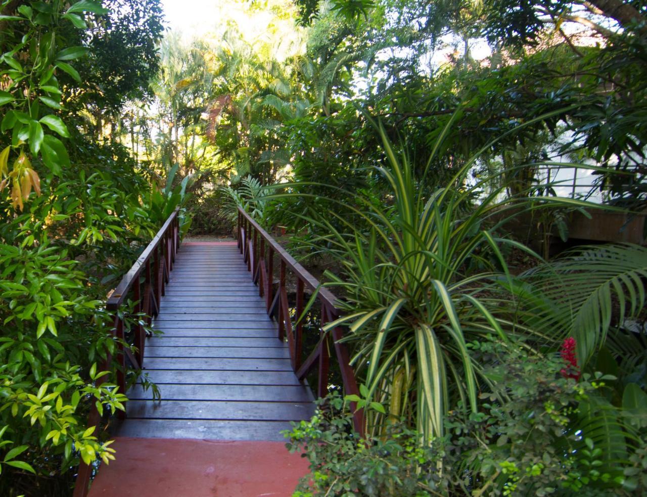 Macaws Ocean Club Apartment Jaco