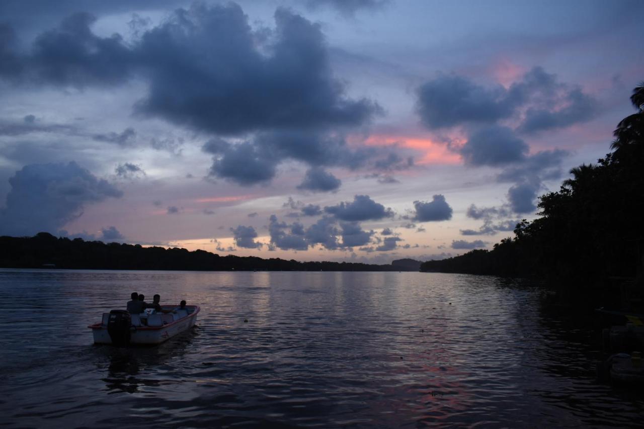Casa Turtle Bogue Tortuguero
