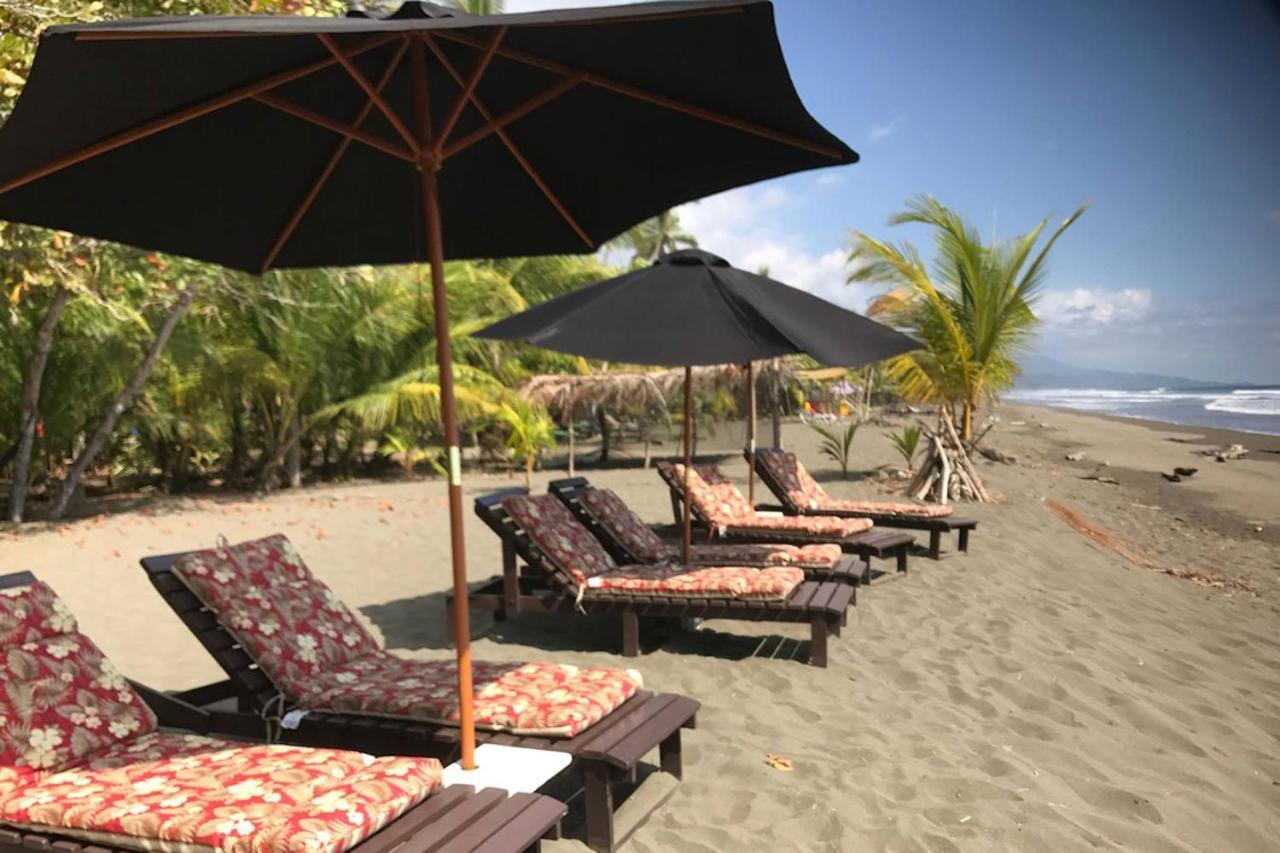 Bed & Breakfast Dreamy Contentment Matapalo (Puntarenas)