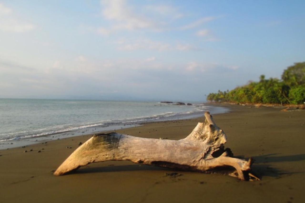 Dreamy Contentment 3* Matapalo (Puntarenas)
