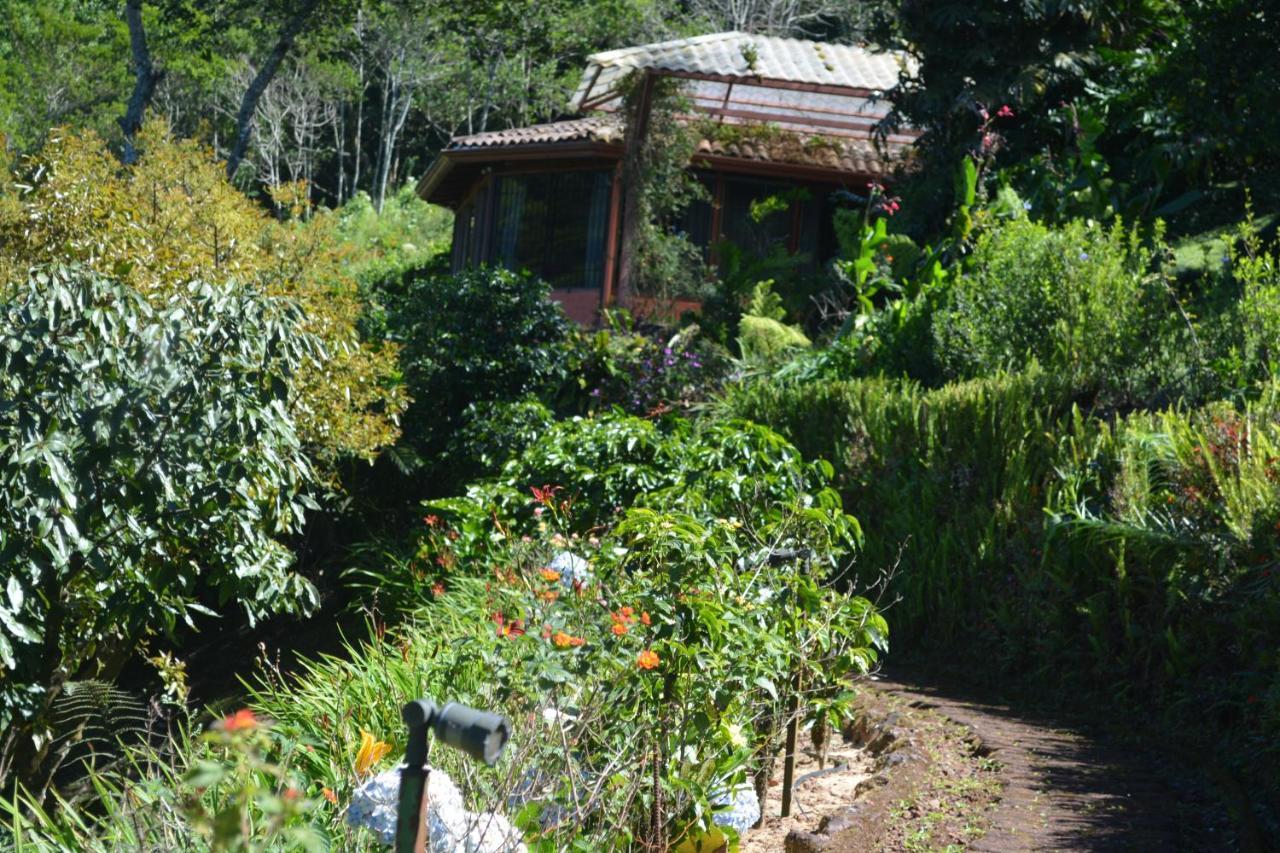 Finca Paraiso Mountain Retreat Near San Jose Airport 5*