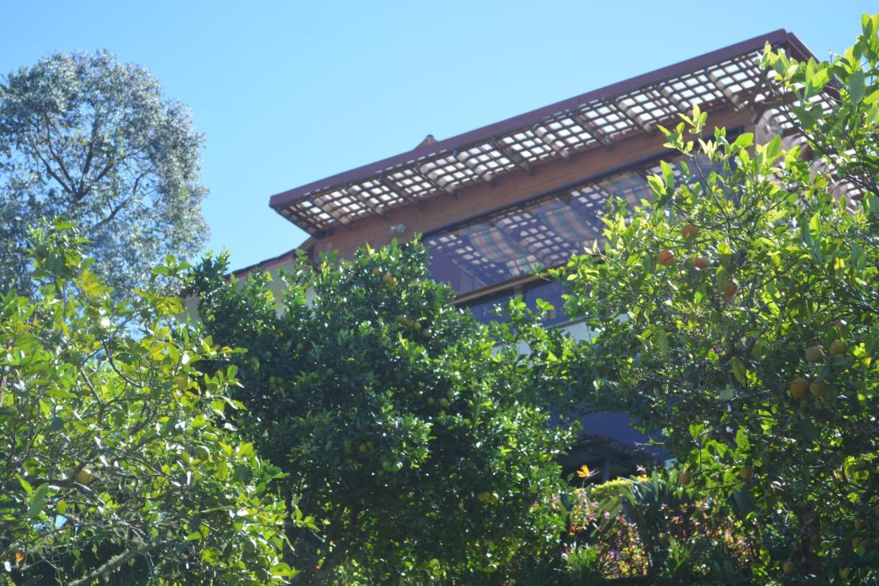 Finca Paraiso Mountain Retreat Near San Jose Airport