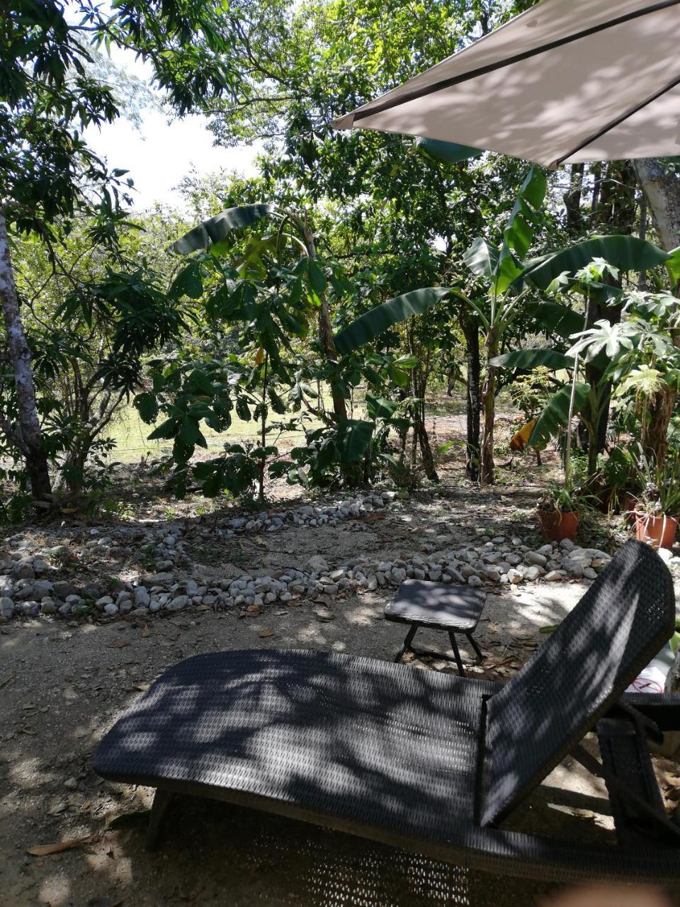 Guest house Casa Taupe *