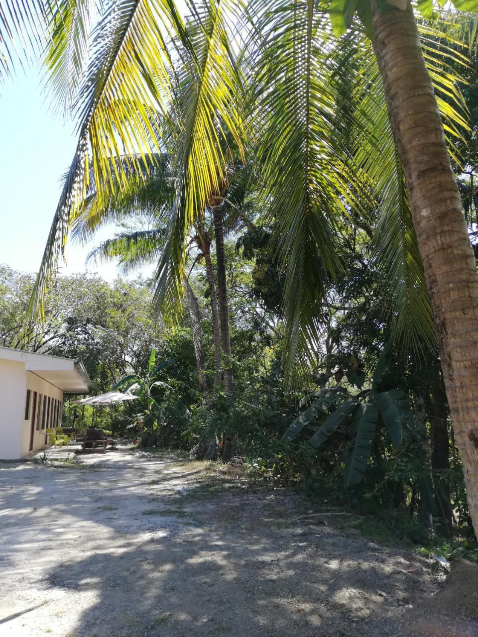 Casa Taupe