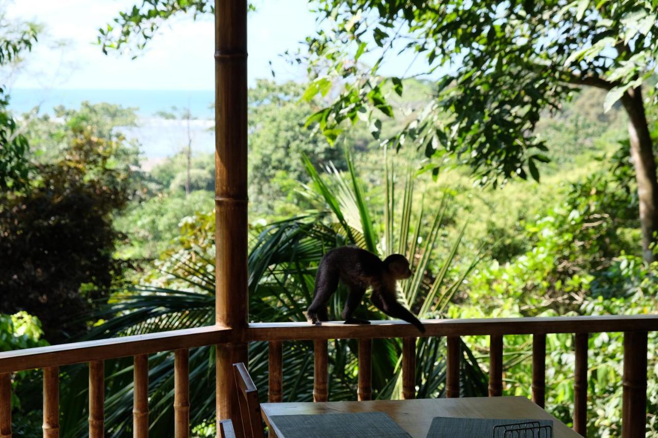 Villa En El Bosque