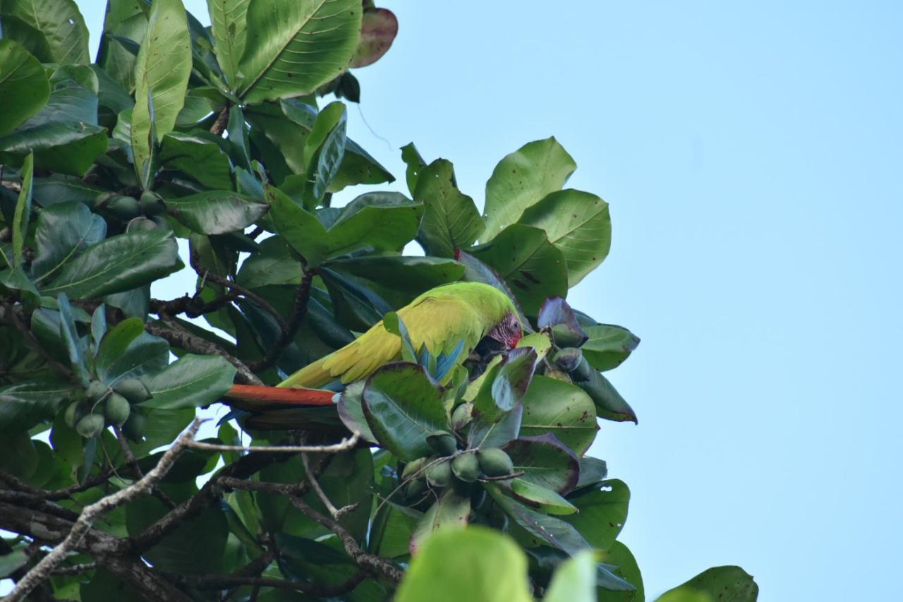 Guest house Casa Turtle Bogue