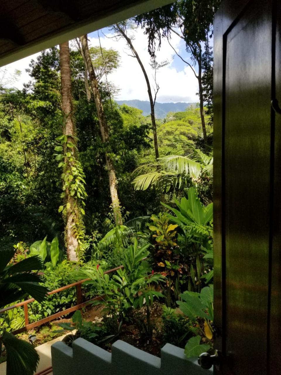 Villa En El Bosque