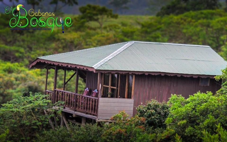 Campsite El Bosque *