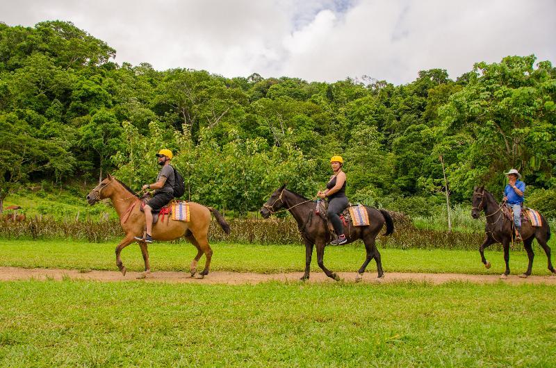 Lapas Jungle Village Resort