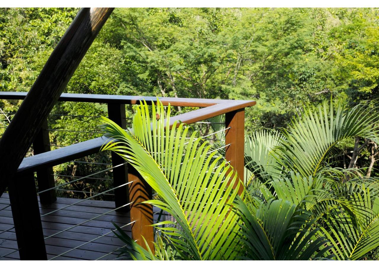 Hotel Mikado Natural 4*