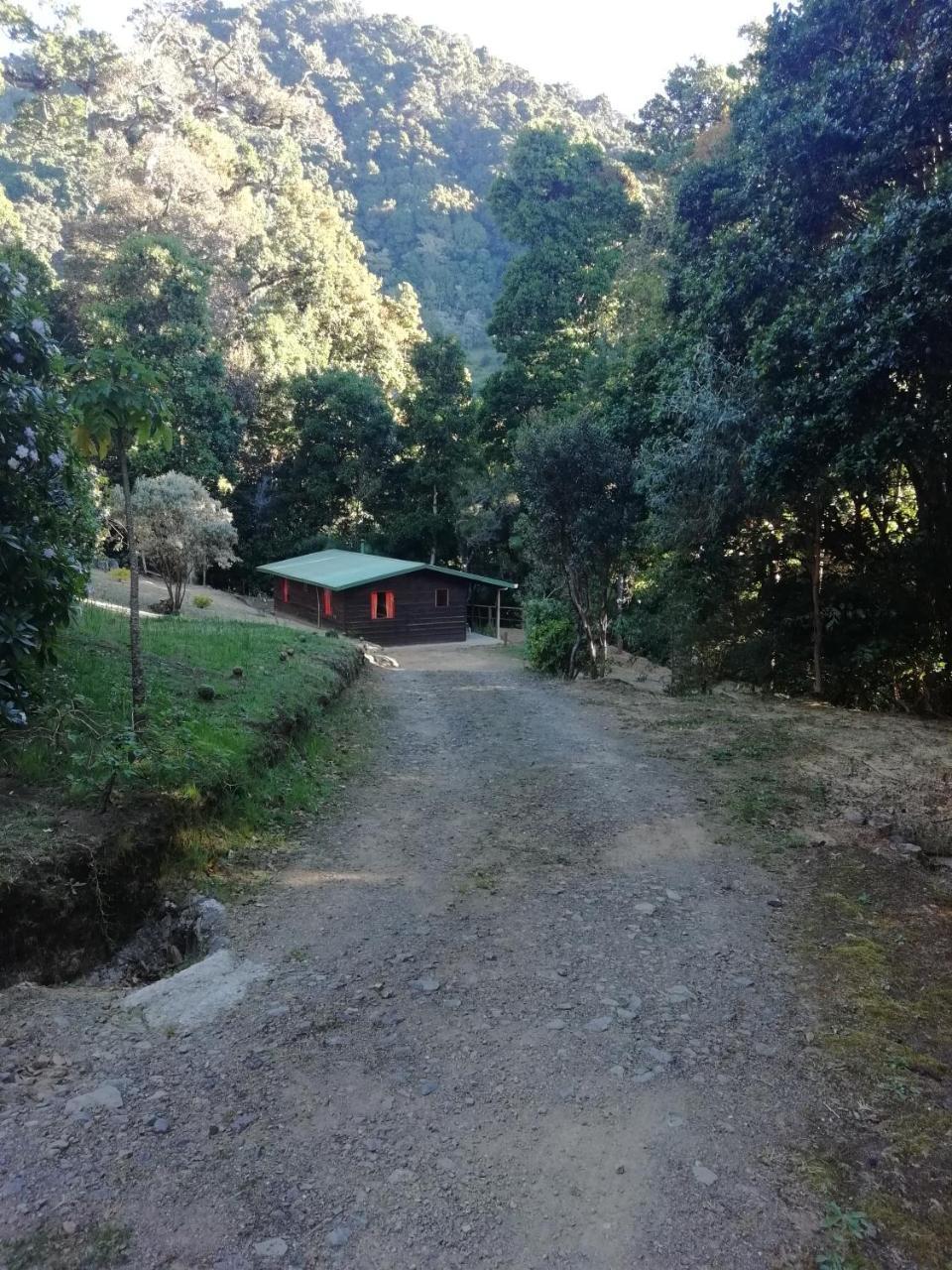 Miriam's Quetzals Bed & Breakfast San Gerardo de Dota