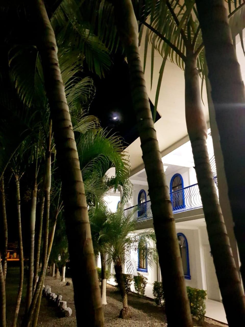 Hotel Palmas De Osa 3*