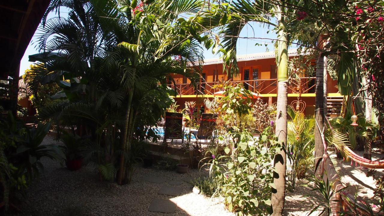 Hotel Palm Samara