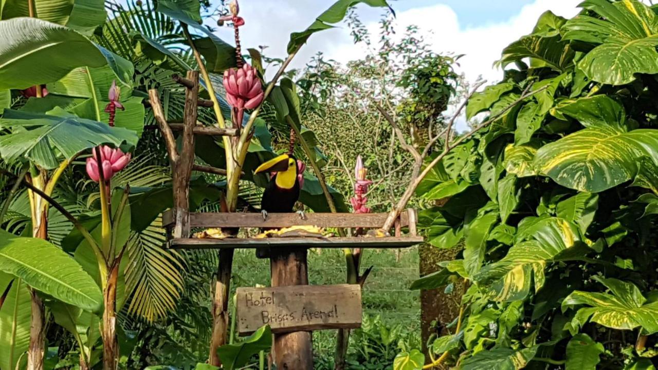 Brisas Arenal Lodge *