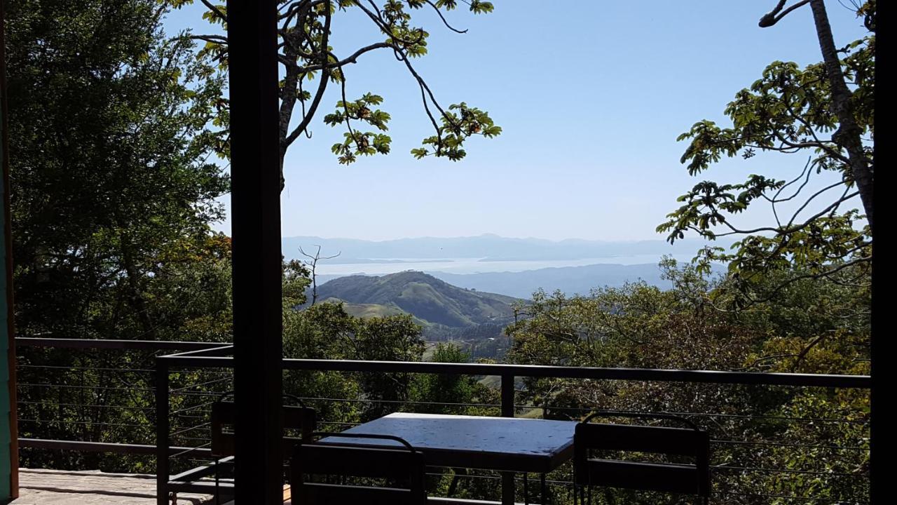 Above The Gulf, Monteverde