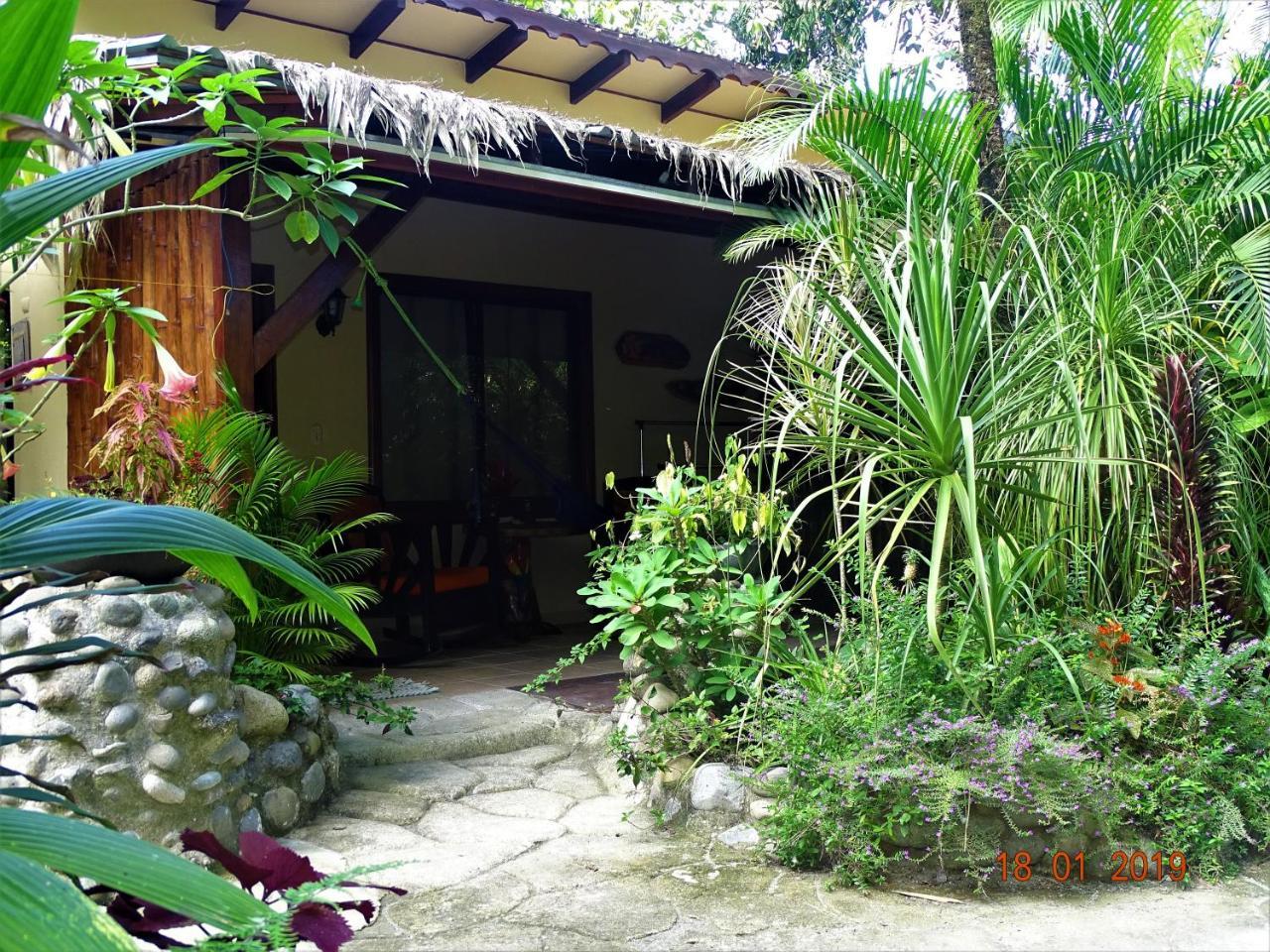 Caribbean Coconut 2*