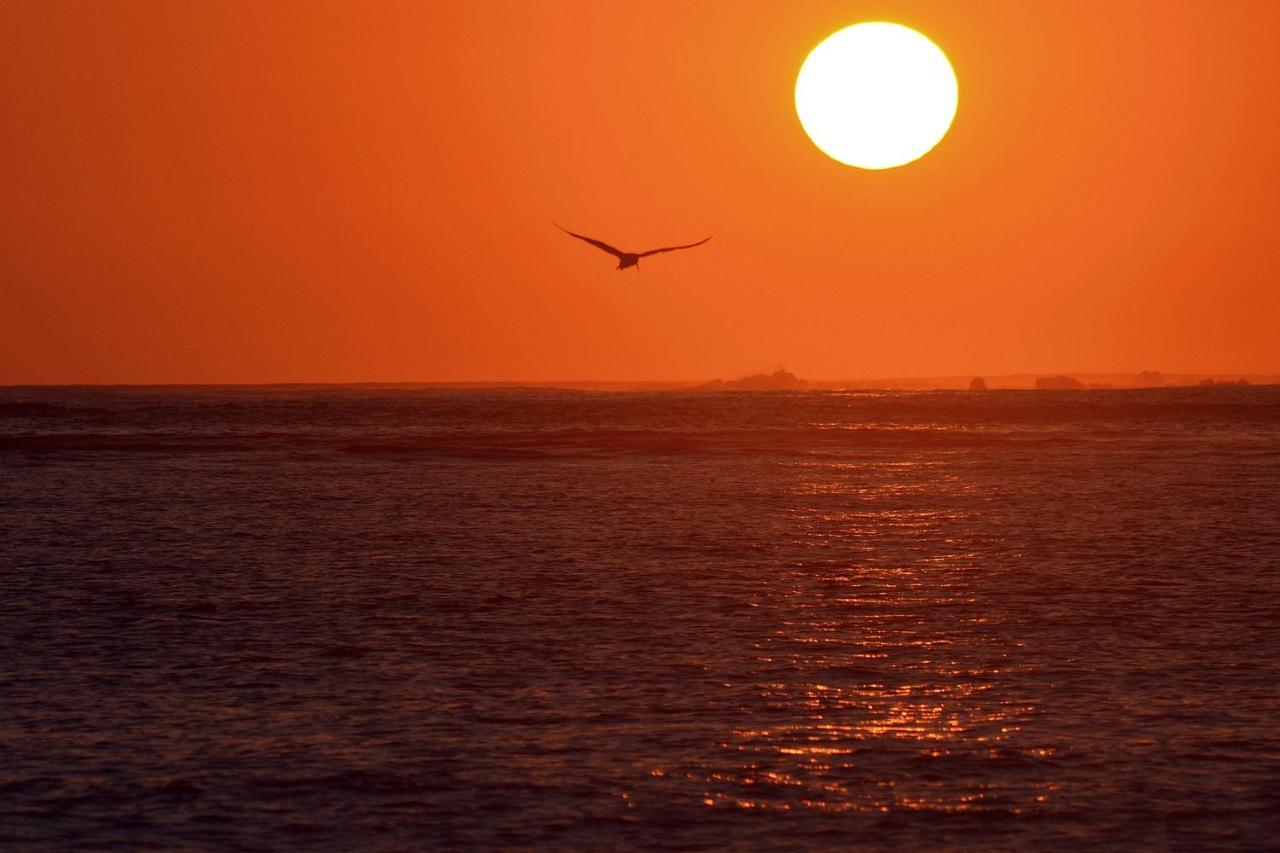 Sunset Chill Out *