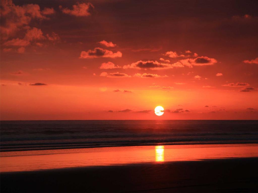 Cocomar Beachfront
