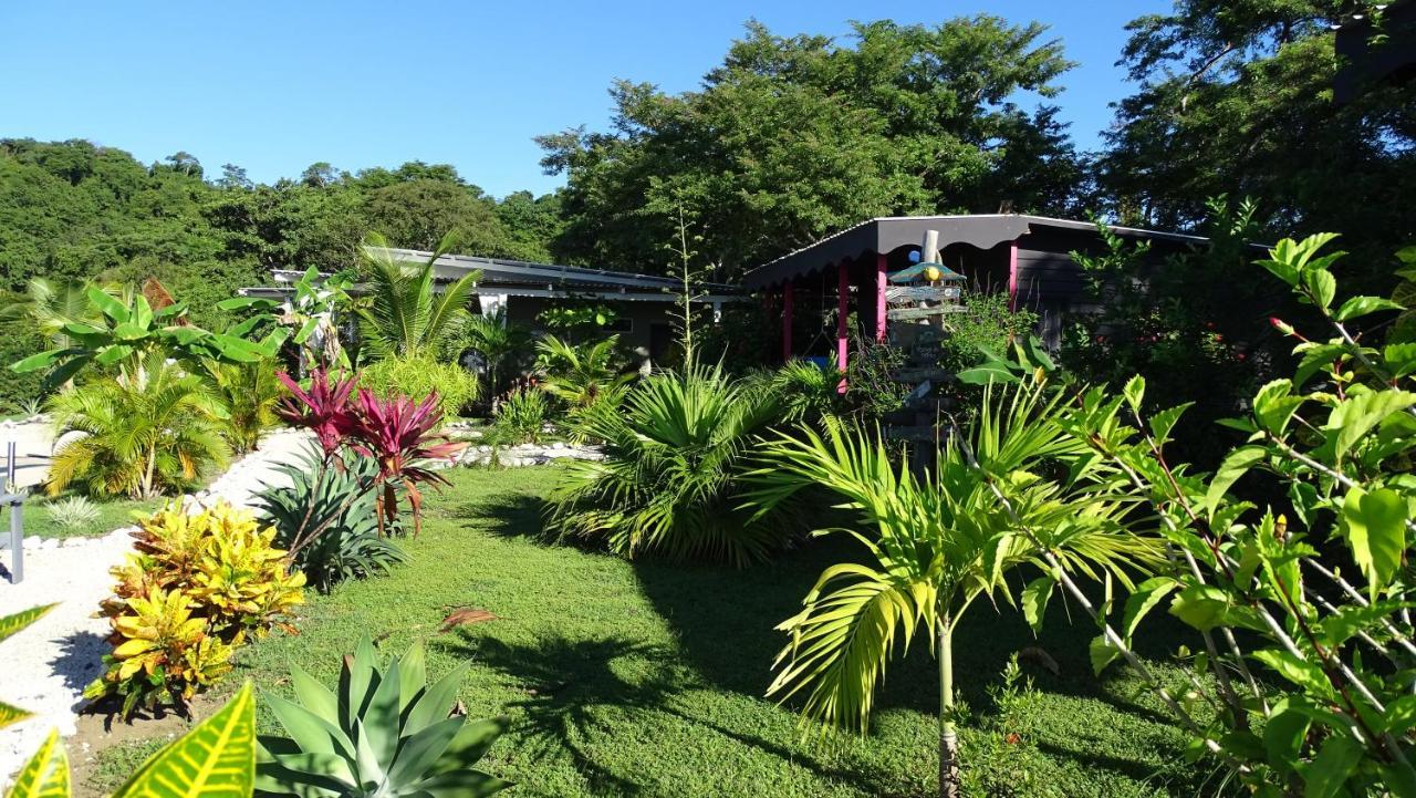 Bed & Breakfast La Colina Pura Vista 3*