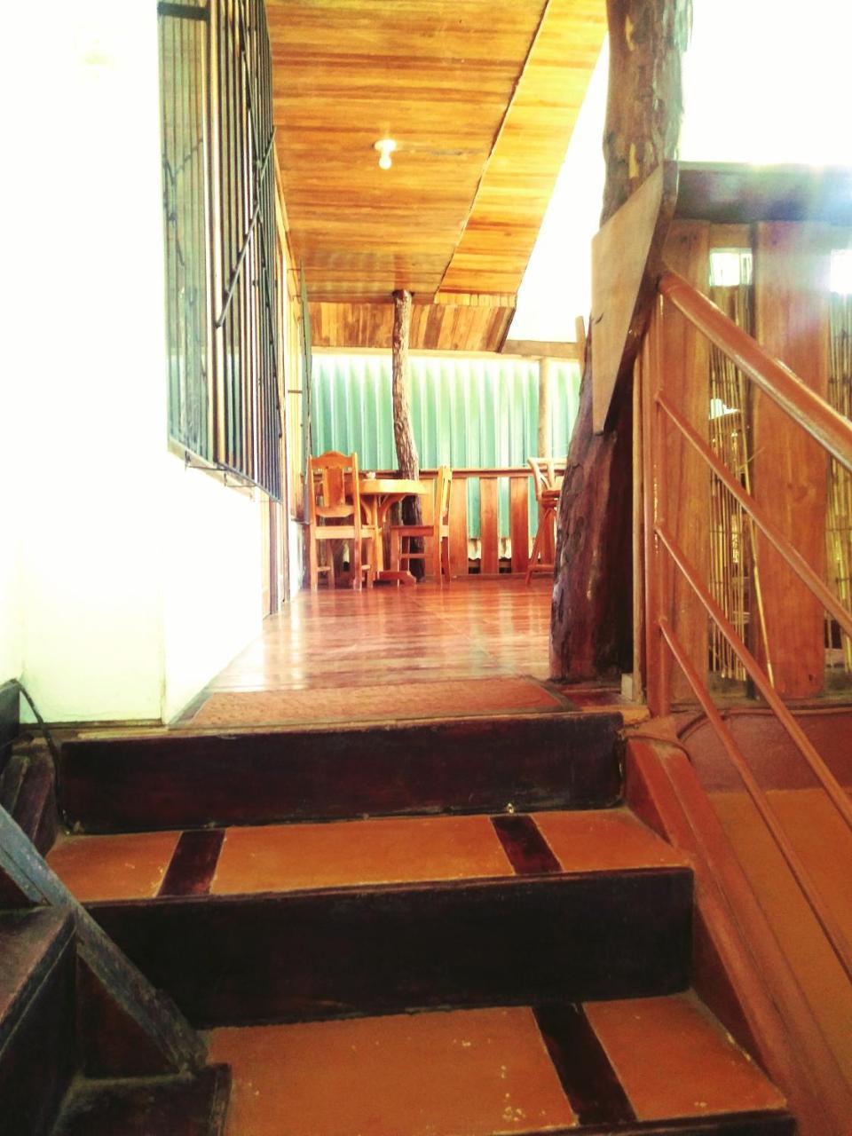 Toritos Guest