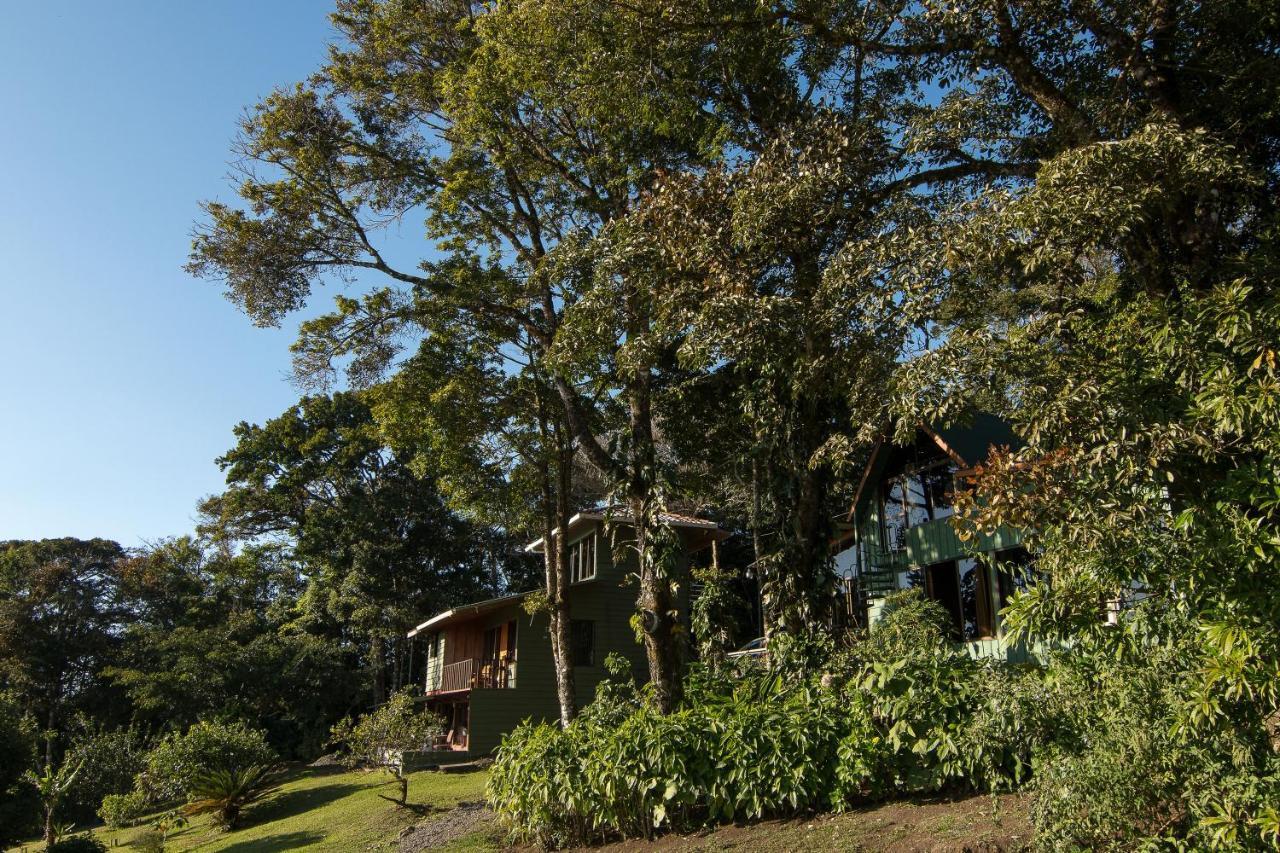Flor De Bromelia Hotel Monteverde